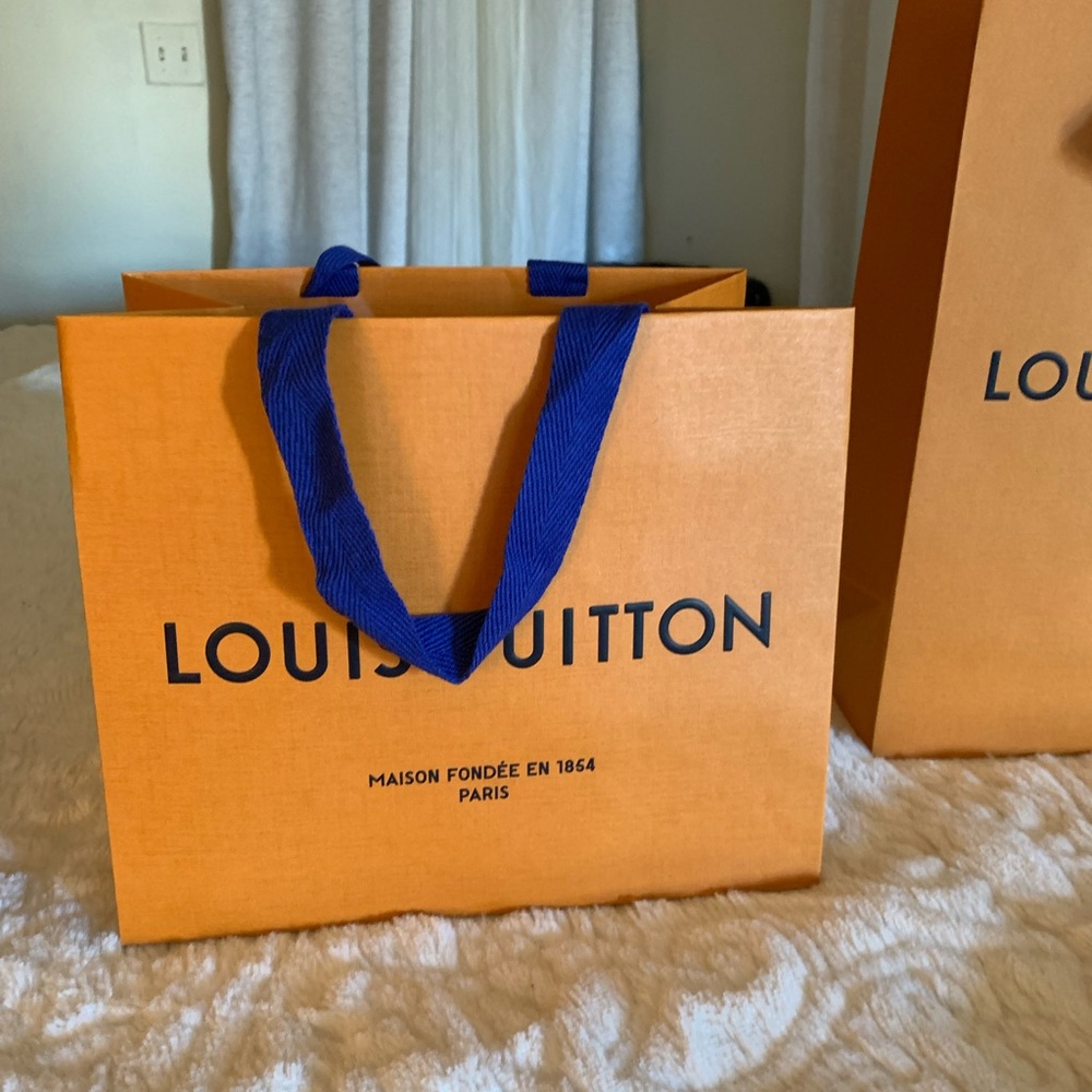 Louis Vuitton carry bag